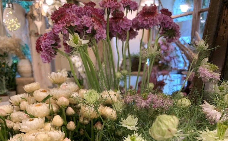 Schnittblumen