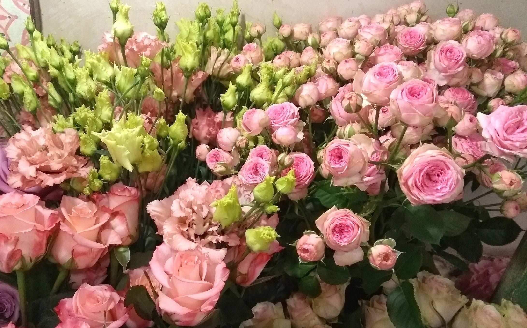 Blumen aus der Blumengalerie in Gaisbach