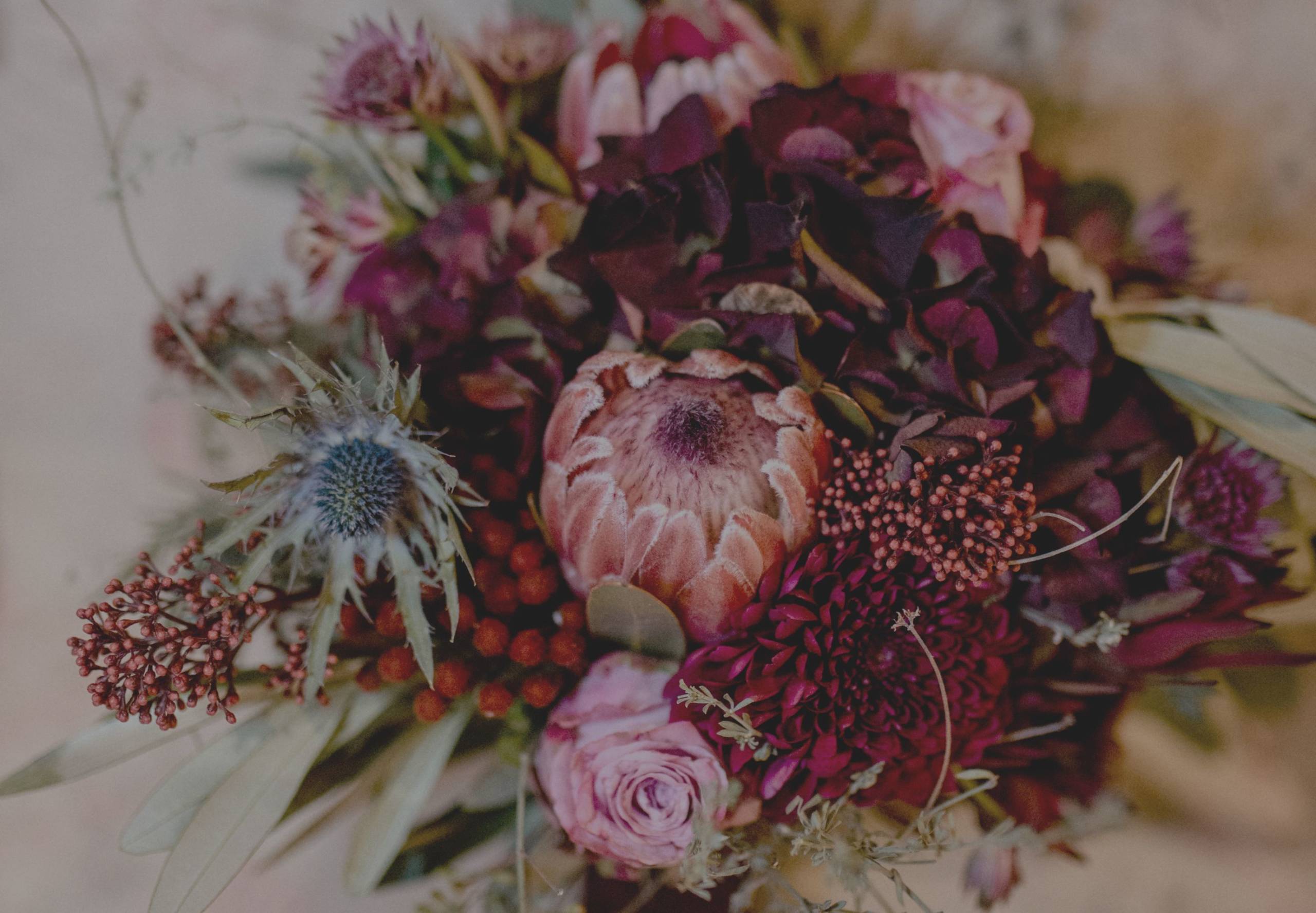 Blumen aus der Blumengalerie